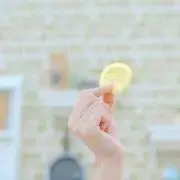 ぴぴの画像