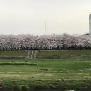 ここ　☆購入前にプロフ必読☆の画像