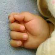 くるみぱんの画像
