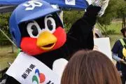 サンデー【ぜひ値段交渉してください】の画像