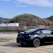 からすの画像