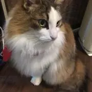 まる