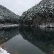 ココの画像