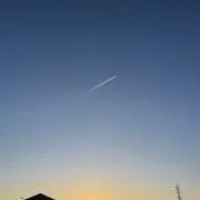 ズッキーの画像