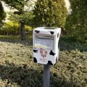 MARUの画像