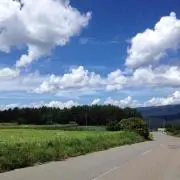 しゅうはるの画像