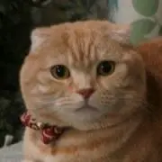 まゆ♡プロフご覧下さいの画像