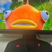 たません