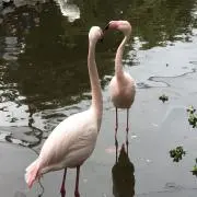 もあの画像