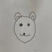 くまの画像