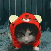 鈴木の画像