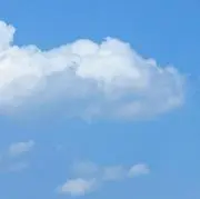 おもち