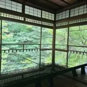 telaの画像