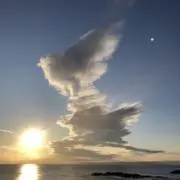 みいの画像