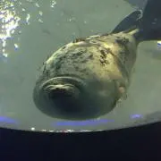 いーの画像