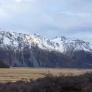 cocorinの画像