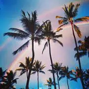 Image of yu_coco★