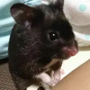 ゆき