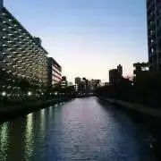 たまちゃんショップ　フォロワー割ありの画像