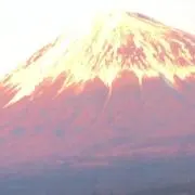 マイティーの画像