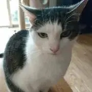 ぬん