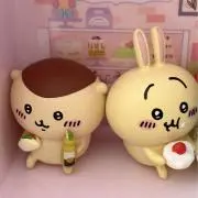 Sの画像