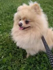 LAKI❤の画像