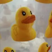 黒ひげ