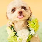 ☆에미리☆ プロフ必読!!!!!!!!の画像