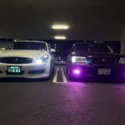 れぃの画像