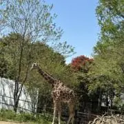 ほのかの画像