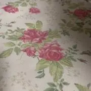 ずーちゃんの画像