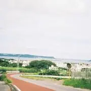 まいまいの画像