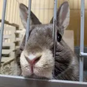 やーま