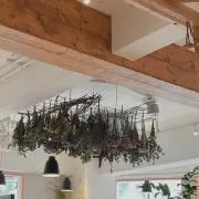 Niの画像