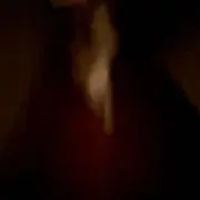 やも