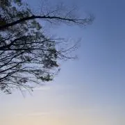 みーの画像