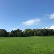 ぽん