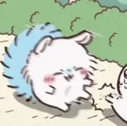 sの画像
