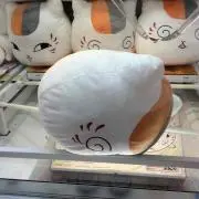 ららぽー
