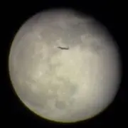 とまとの画像