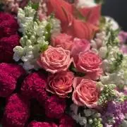 あかり　即購入⭕️の画像