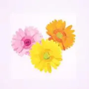あまなぎ