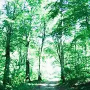 cutの画像