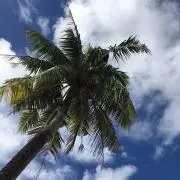 fami☆の画像