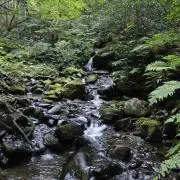osushi屋☆の画像