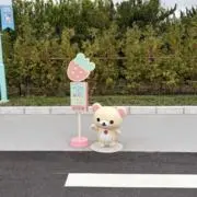 ちょこみかんの画像