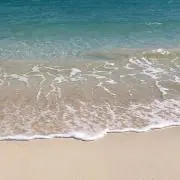 すいの画像