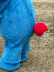 ドンちゃんの画像