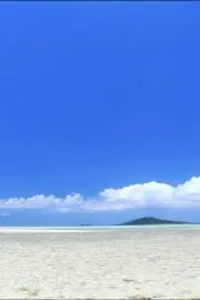 沖縄大好きの画像